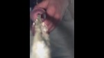 Afspeellijst thumbnail 303960621-2