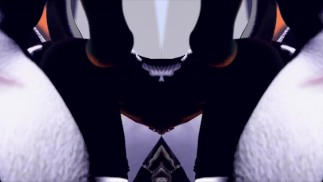 The Bow  Wolf k9 & Sphinx Feline  Yiffing Furrys