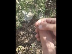 Jerk in the Mountains Nature cock