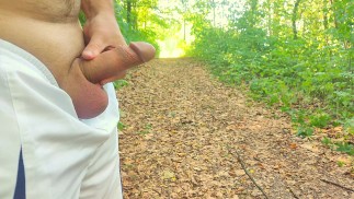 Three ruined cumshots in a public park (I hate insect)