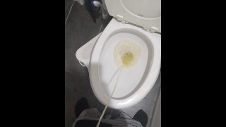 Minha urina