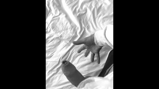Free Novinhas Do Zap Porn Videos, page 2 from Thumbzilla