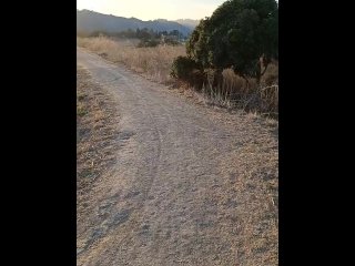 boy, walking, man, dog