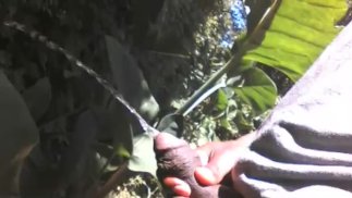 他决定在公共场合撒尿......差点被女孩抓住