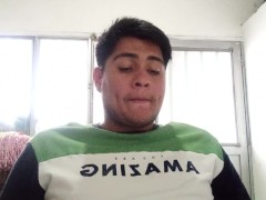 Capítulo 5 Manual de procedimiento Penal Henry Torres Vásquez Parte 5