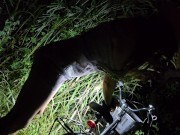 Preview 3 of Exclusiv PEE in Savana before Sun Rise# Net Dress n NO PANTIES for Night Safari