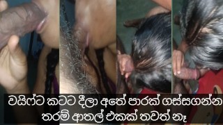 Srilankan New Husband And Wife Lovely Sex Video Familylife