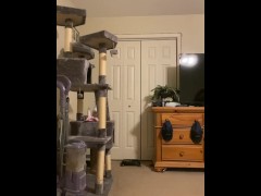 How Many Times Do I Play With My Cock While Dressing?