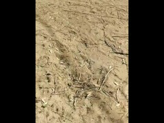 Fuimos a pasear a la playa publica Argentina y salio un pete mamada casero