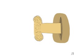 Porn for Minimalists