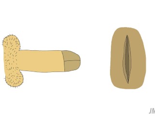 Porn for Minimalists