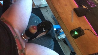 Связанная удобная маструбация #8 Безумный Камшот с Тугим Металлическим Кольцом Члена