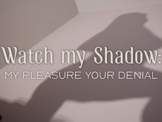 Adore Minha Shadow - Minha Pleasure, Sua Negação