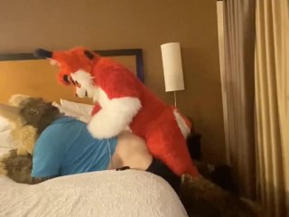 Hot Lynx Breeding 🔥😺🦴