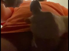 Venus Teaser - Screenshot 11 of 16 - Machine