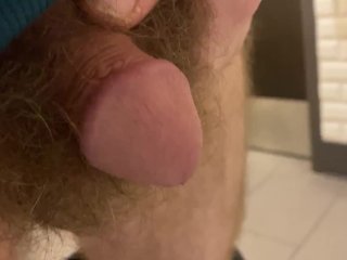 piss, hairy pubes, flaccid penis, pissing