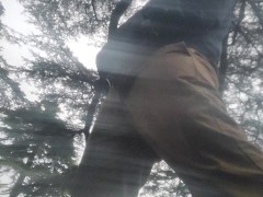 Pissing by my favorite tree , viewpoint