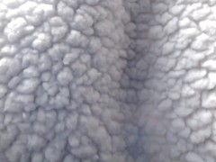 Smell Slave Bad Breath Burping Body Ass