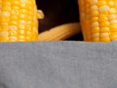 test upload - Screenshot 16 of 16 - Test