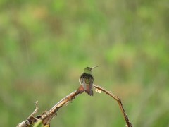 Listen to this peaceful mind relaxing while watching sound .Rain sound.