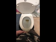 Preview 1 of PISS COMPILATION