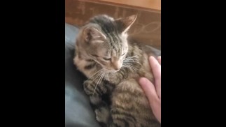 Rubbing My Wife's Pussy