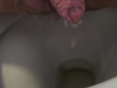 Pissing in the toilet squat