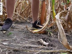 Urgent piss in the cornfield 5/16