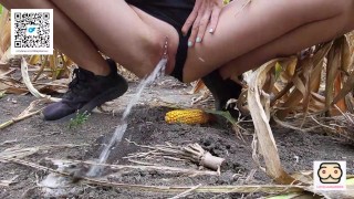 Pilne sikanie na polu kukurydzy