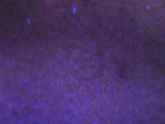 TRANSVR: Saving Grace! - Screenshot 1 of 16 - Tgirlsxxx