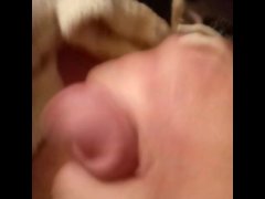 Just buzz - Screenshot 9 of 16 - Foreplay