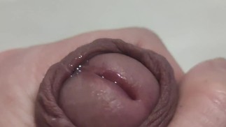 Извержения спермы