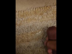 Bathroom Quickie Masturbation