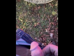 Public Pissing Peeing Truck