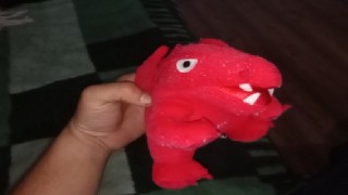 Red dragão