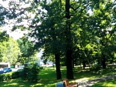 test upload - Screenshot 11 of 16 - F23f23