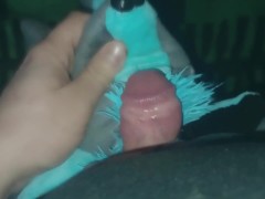 Piorun wolf - Screenshot 14 of 16 - Plush