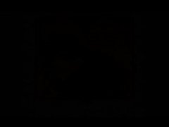 The Genesis Order v93122 Part 333 LAST PERK! By LoveSkySan69