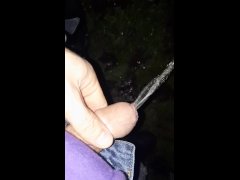 Pissing in my yard at the same time as my dog