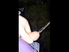 Pissing in my yard at the same time as my dog