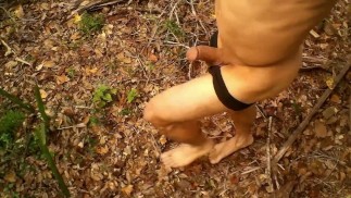 Naked at the park with fox tail