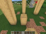 Preview 3 of How to build a modern wood house in Minecraft