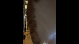 Жду, пока остынет 🙁 праздничный торт