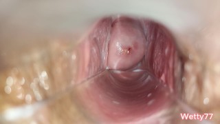 Inside Of My Copine's Vagina