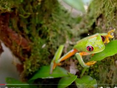 Upload720p_ChannelSubscription_2023_12_25_12h02