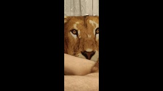 Masturbation solo mâle pov branlette