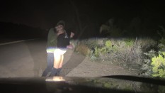 Public bj