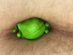 Sealing Green in my sloppy hole with a glass plug