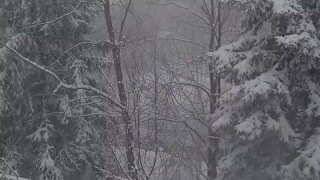 Storie dell'orrore natalizio che hanno avuto luogo durante le tempeste di neve