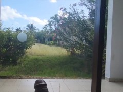 Petit avant goût de nos vacances à Cuba